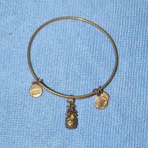 Alex and Ani Gold Pineapple Charm Bracelet